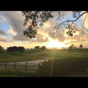 Meet your Posher, Abbey